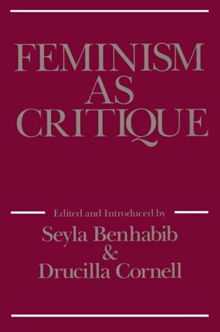 Cover of Feminism as Critique