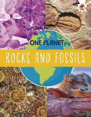 Cover of Rocks and Fossils