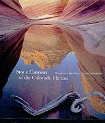 Book cover for Stone Canyons of Colorado Plateau