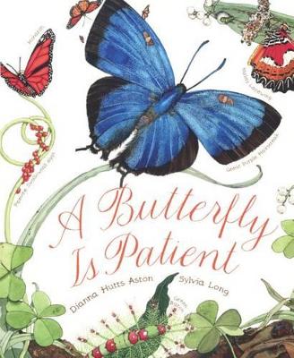 Book cover for Butterfly Is Patient