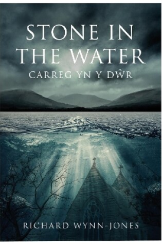 Cover of Stone In The Water