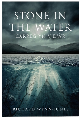 Book cover for Stone In The Water