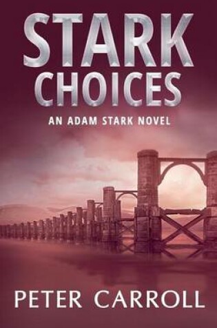 Cover of Stark Choices