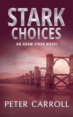 Book cover for Stark Choices