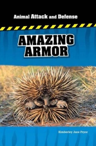 Cover of Us Aa&D Amazing Armour