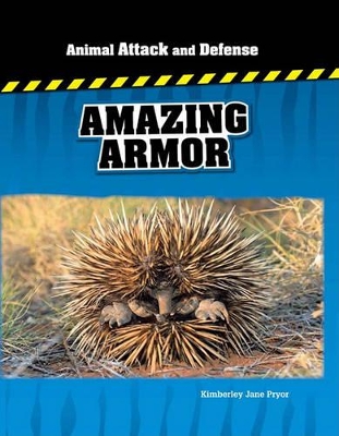 Book cover for Us Aa&D Amazing Armour