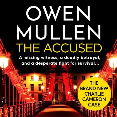 Book cover for The Accused