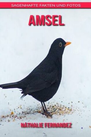 Cover of Amsel