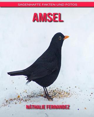 Book cover for Amsel