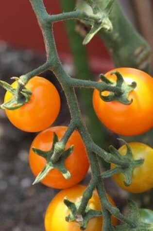 Cover of Tomatoes Ripening on the Vine in the Garden Journal