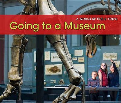 Book cover for Going to a Museum