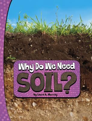 Book cover for Why Do We Need Soil Nature We Need
