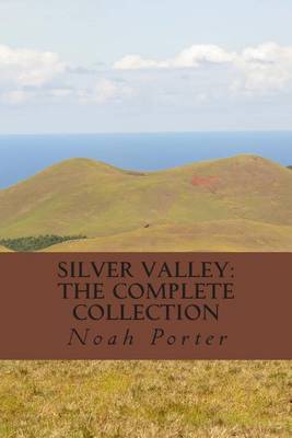 Book cover for Silver Valley