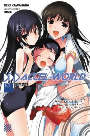 Cover of Accel World, Vol. 10 (Novel)