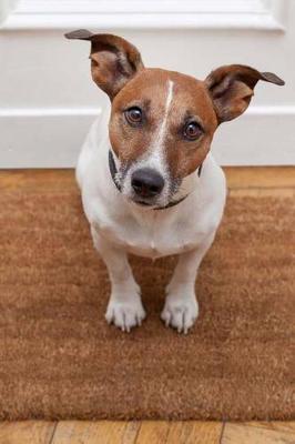 Book cover for Let Me Out or I'll Pee on the Floor - Dog Journal