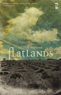 Cover of Flatlands
