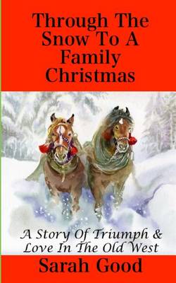 Book cover for Through the Snow to a Family Christmas