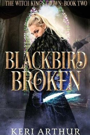 Cover of Blackbird Broken