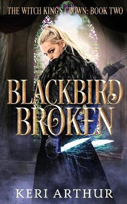 Book cover for Blackbird Broken