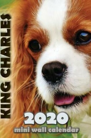Cover of Cavalier King Charles 2020 Mini Wall Calendar