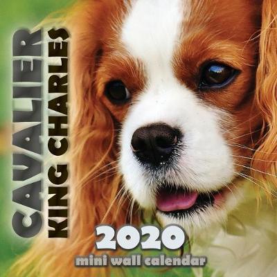 Book cover for Cavalier King Charles 2020 Mini Wall Calendar