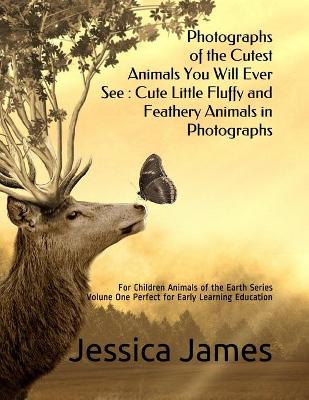 Book cover for Photographs of the Cutest Animals You Will Ever See