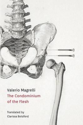 Book cover for Condominium of the Flesh