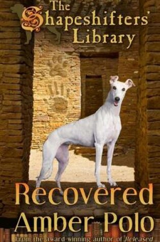 Cover of Recovered