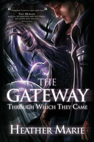 Cover of The Gateway Through Which They Came