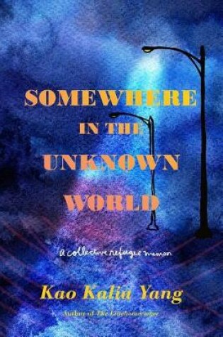 Cover of Somewhere in the Unknown World