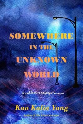 Book cover for Somewhere in the Unknown World