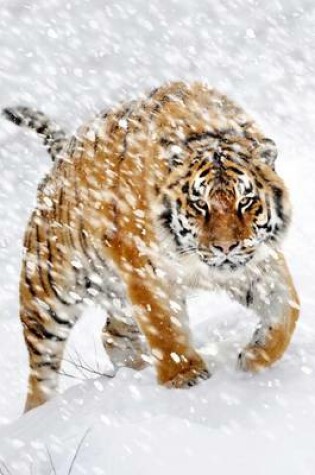 Cover of A Siberian Tiger in a Snowstorm Journal