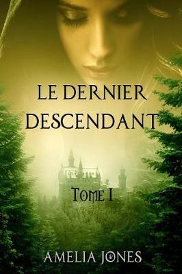 Book cover for Le Dernier Descendant