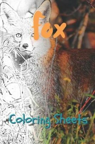 Cover of Fox Coloring Sheets