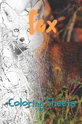 Book cover for Fox Coloring Sheets