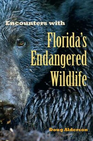 Cover of Encounters with Florida's Endangered Wildlife