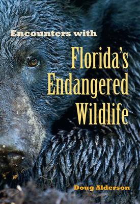 Book cover for Encounters with Florida's Endangered Wildlife