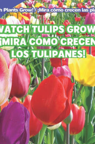 Cover of Watch Tulips Grow / �Mira C�mo Crecen Los Tulipanes!