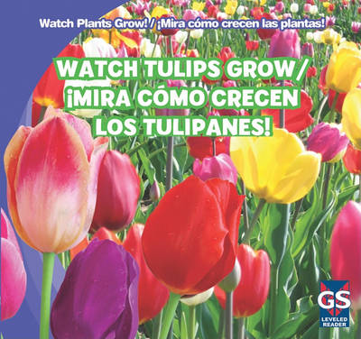 Cover of Watch Tulips Grow / ¡Mira Cómo Crecen Los Tulipanes!