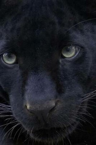 Cover of Black Panther Portrait Big Cat Journal