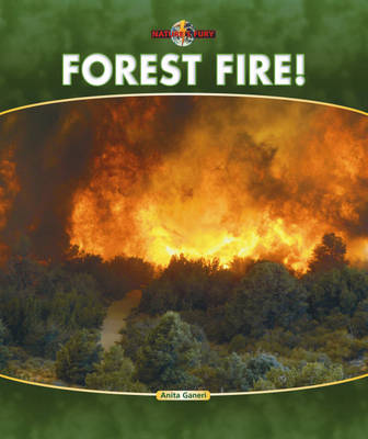 Book cover for Forest Fire