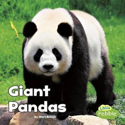 Cover of Giant Pandas