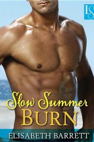Cover of Slow Summer Burn