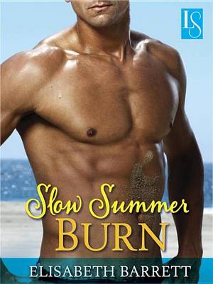 Book cover for Slow Summer Burn