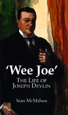 Book cover for Wee Joe