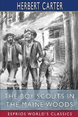 Book cover for The Boy Scouts in the Maine Woods (Esprios Classics)