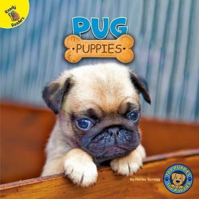 Book cover for Pug Puppies