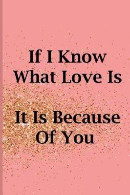 Book cover for If I Know What Love Is It Is Because of You