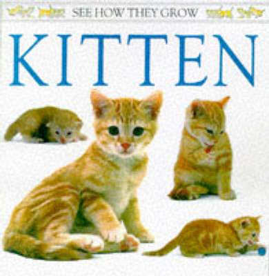 Book cover for See How They Grow:  Kitten