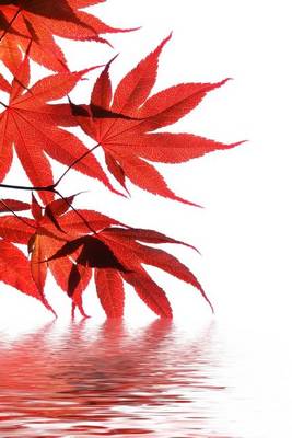 Book cover for Japanese Maple Leaves on the Water